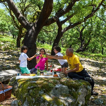 Vale Do Ninho Nature Houses Ferraria de Sao Joao Ngoại thất bức ảnh