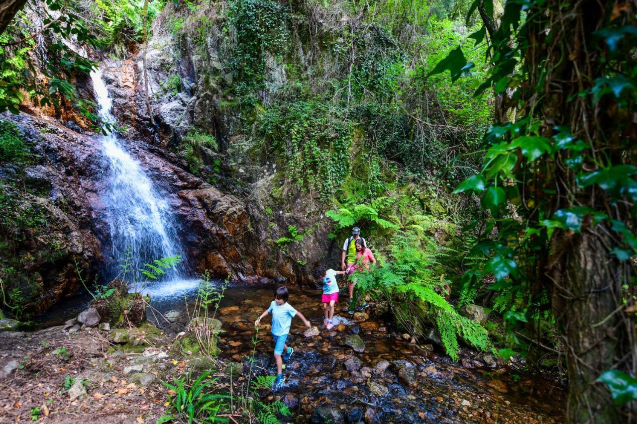 Vale Do Ninho Nature Houses Ferraria de Sao Joao Ngoại thất bức ảnh